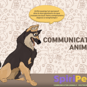 communication animale