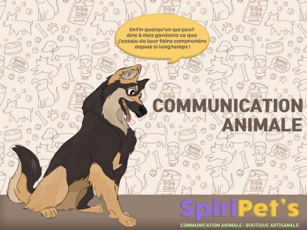 communication animale